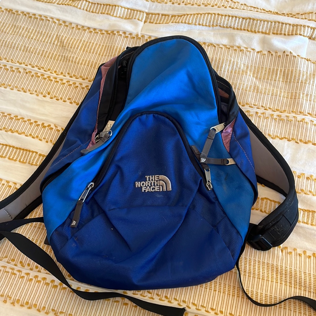 North Face Mini Backpack